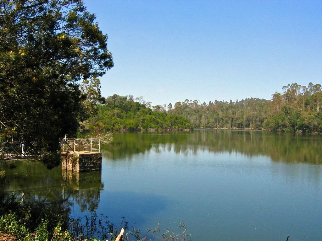 Berijam Lake forest reflection, Kodaikanal