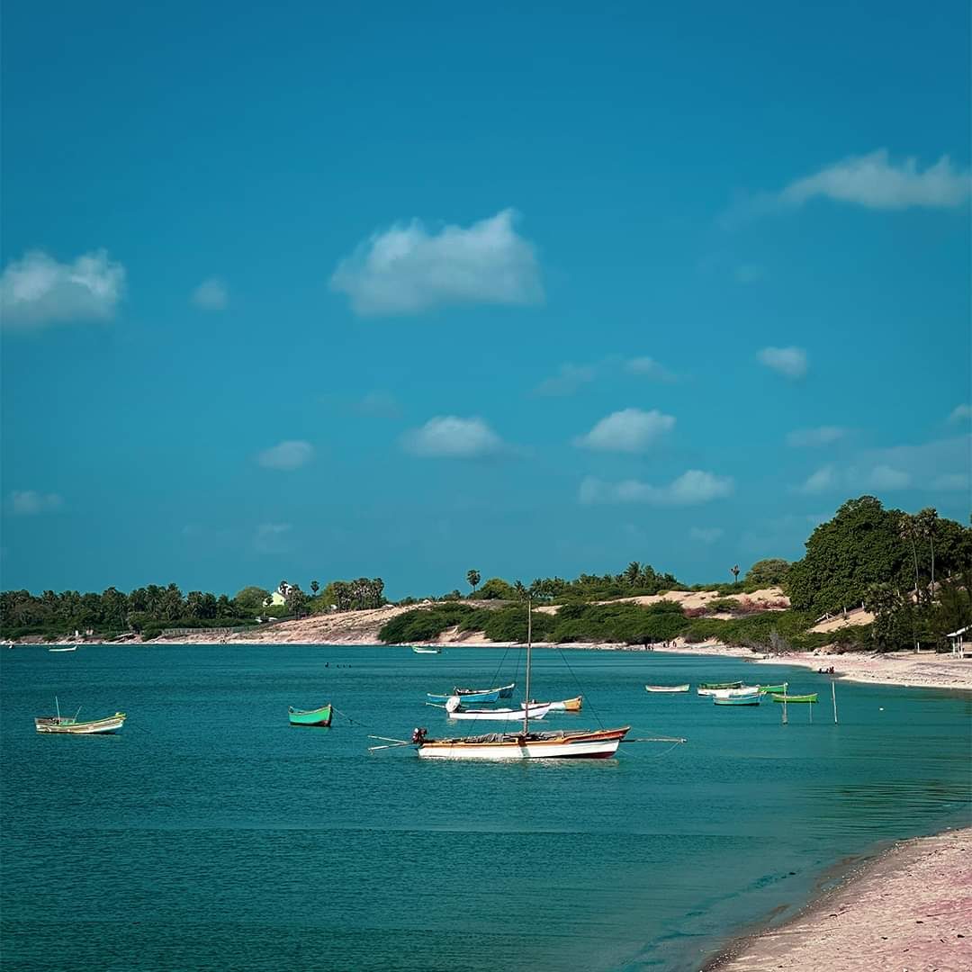Fishing boats on the Rameswaram coastline
